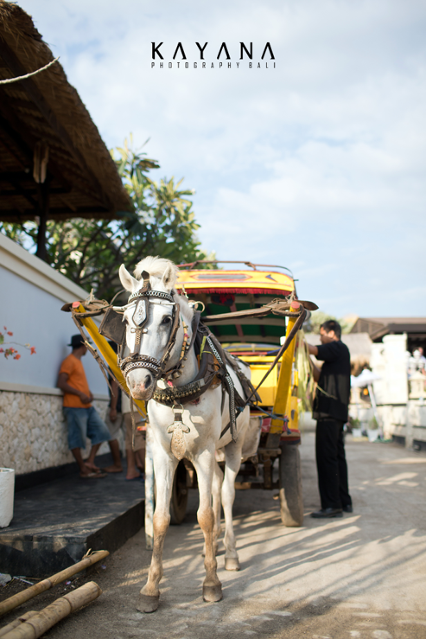 Gili Trawangan Wedding by Lombok Professional Photographer